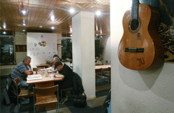 Bild-Newsletter--Yucca