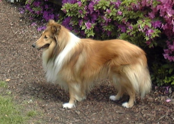 fotos-kwoRzPw-DSCF0026-2