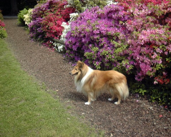 fotos-kwoRzPw-DSCF0026